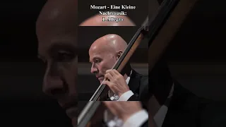 Classical Music You’ve Heard But Don’t Know the Name of