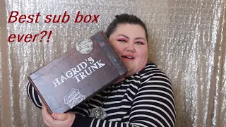 BRAND NEW ⚡️ Harry Potter ⚡️ SUB box unboxing!! OMG 🙀 | Hagrids Trunk