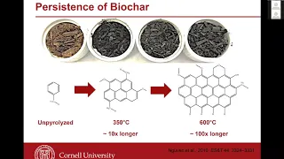 Biochar: An ICRLP Explainer Video