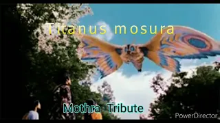 Titanus Mosura(Mothra) tribute || mothra theme song