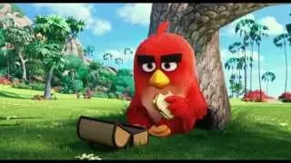 THE ANGRY BIRDS MOVIE:  In Theatres May 2016 -  Trailer #1