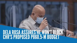 Dela Rosa assures he won't block CHR's proposed P860.5-M budget