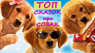 Топ лучших фильмов сказок про собак