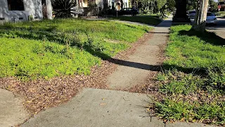 Neighbors Team Up On MOWING This Lawn When It OVERGROWS After City SIEZED The Property