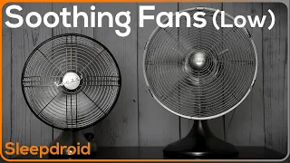 ► Soothing Fan Sounds for Sleeping ~10 hours of Fan Noise, Binaural Effect (Low speed) Dual Fans