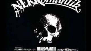 Hermann Kopp || Nekromantik '91