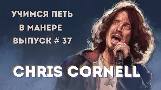 Учимся петь в манере №37. Chris Cornell - Show Me How to Live / The Promise