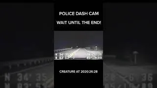 #shorts-police dash cam catches strange creature . watch till end