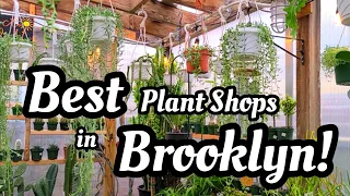 PLANT SHOPPING || The Best of Williamsburg Brooklyn for Rare & Common Houseplants 🪴