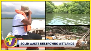 Solid Waste Destroying Wetlands | TVJ News - Nov 17 2021