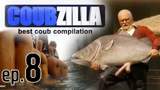 COUBZILLA ▶ Episode #8 (best coub compilation)