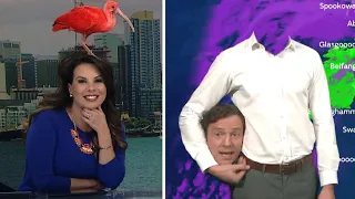 Wacky Weather Mishaps Caught on Live TV