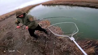 Зимняя рыбалка на сазана 2024г