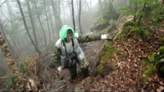 Танюшка, с Днем Рождения, Танечка! Моей любимой жене на ее очередной день рождения. Всех благ тебе!