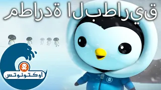 أوكتونوتس | 🐧 مطاردة البطاريق 🚜 | حلقات مجمعة