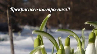 Финиши, продвижения, старты и.....покупки😉👍