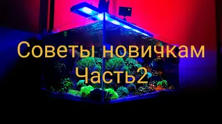 Советы новичкам. Часть 2 (оборудование)