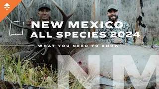 You Might Just Draw a Sweet Tag -  Everything You Need to Know When Applying in New Mexico