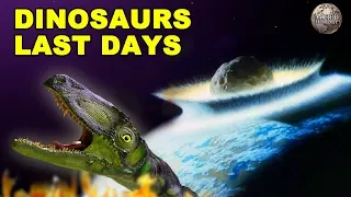 A Breakdown of the Asteroid That Wiped Out the Dinosaurs