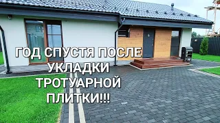 Выпуск№37. Год спустя после укладки тротуарной плитки!    #домсвоимируками