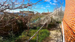 Will we be able to Rescue this Catastrophe | Unbelievably Neglected Garden