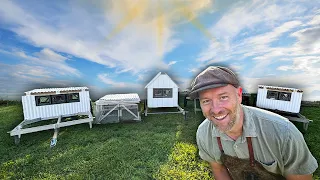 5 Chicken Coops that Work | 5 Brilliant Ways