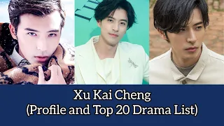 Xu Kai Cheng 徐开骋 (Profile and Top 20 Drama List) Novoland: Pearl Eclipse (2021)