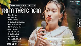 Bông Cỏ Mây - Phạm Thiêng Ngân ( Lofi Ver ) Những ngày chưa nhập ngũ | Nhạc Lofi Chill Hay Nhất 2024