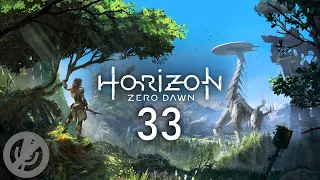 Horizon Zero Dawn Прохождение Без Комментариев На PS5 На 100% Часть 33 - Поле Павших