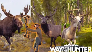 Bulls, Bucks, and Bows | Way of the Hunter