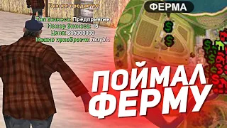 ПОЙМАЛ ФЕРМУ НА ОТКРЫТИИ НОВОГО СЕРВЕРА ARIZONA RP PAYSON в GTA SAMP