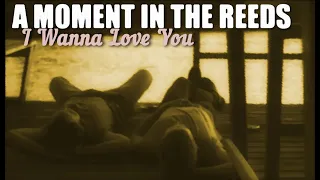 A Moment in the Reeds | Leevi & Tareq | Gay Romance | I Wanna Love You