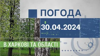 Прогноз погоди в Харкові та Харківській області на 30 квітня