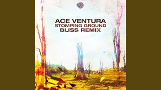 Stomping Ground Bliss Remix