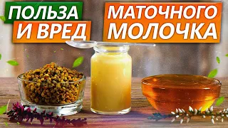 СРЕДСТВО от всех БОЛЕЗНЕЙ! / Чем УНИКАЛЬНО маточное молочко?