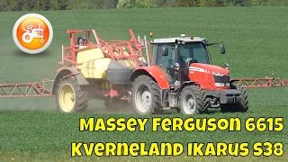 Spraying 2024 | Massey Ferguson 6615 & Kverneland Ikarus S38 sprayer