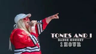 [1 시간 / 1 HOUR LOOP] TONES AND I "DANCE MONKEY"