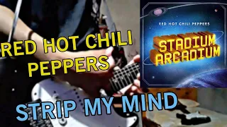 Red Hot Chilli Peppers - Strip My Mind | Guitar Cover