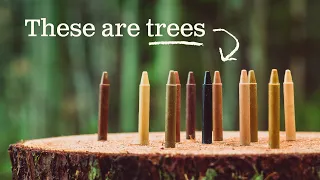 Japan has too many trees, so we turned them into crayons