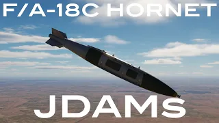 DCS: F/A-18C - JDAMs