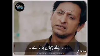 Pakistani Drama Dialogue | Raqs e Bismil Drama Dialogue | Sad Dialogue 😥 WhatsApp Status