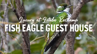 Camping at Tsendze | Fish Eagle Guest House at Letaba Restcamp | Kruger National Park