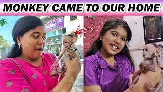 😍Surprised Ammu With a MONKEY🐒 || Unexpected😱 || Monkey Came to our HOME😅 || Ammu Times ||