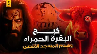 قصة البقرة الحمراء عند اليهود وعلاقتها بهدم للمسجد الأقصى جماعة هيكل سليمان