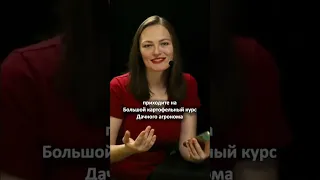 НАУЧИМ УРОЖАЮ КАРТОФЕЛЯ Дачный агроном