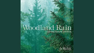 Woodland Rain