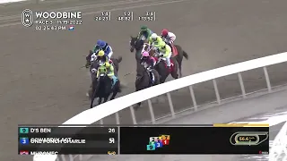 Woodbine, Tbred, November 19, 2022 Race 3