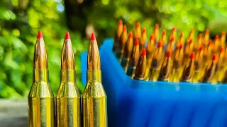 .243 Custom Handloads | 100 yard group testing