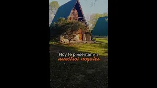 🌳 Nogales el árbol de las nueces | Nuez Pecan | Nuez de Castilla | Compost con cáscara de nuez  🌳