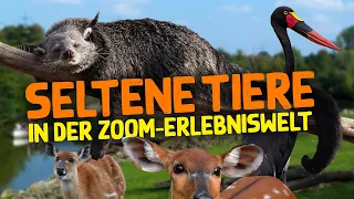 Tierischen Besonderheiten in der ZOOM Erlebniswelt!